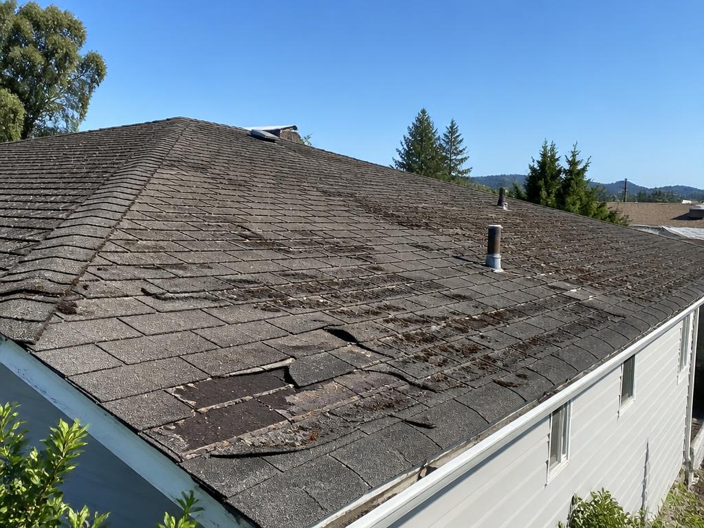 Dirty and broken asphalt shingle roof before replacement in Healdsburg, CA